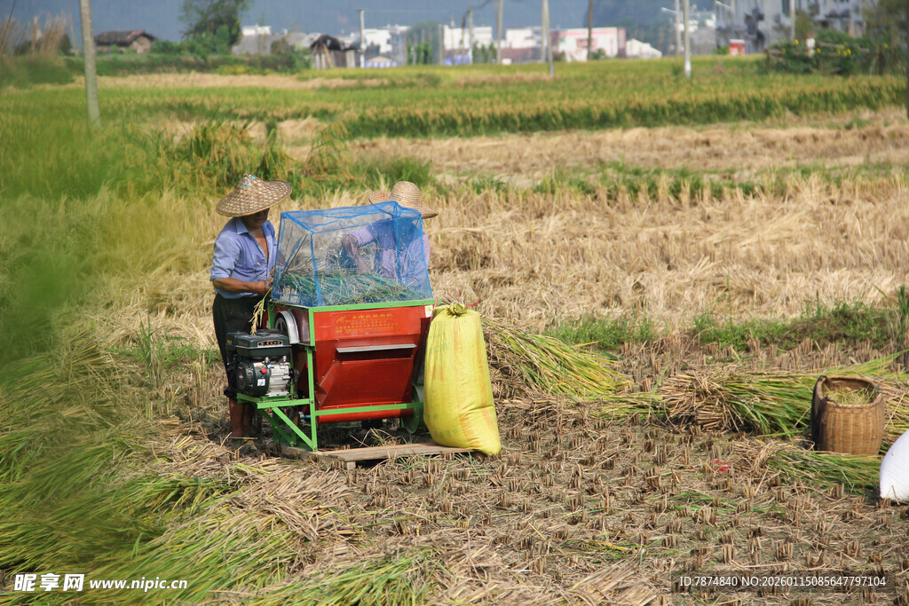 稻田中操作农机的劳动者