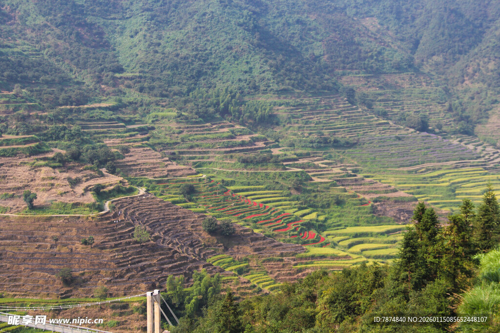 山间梯田景观
