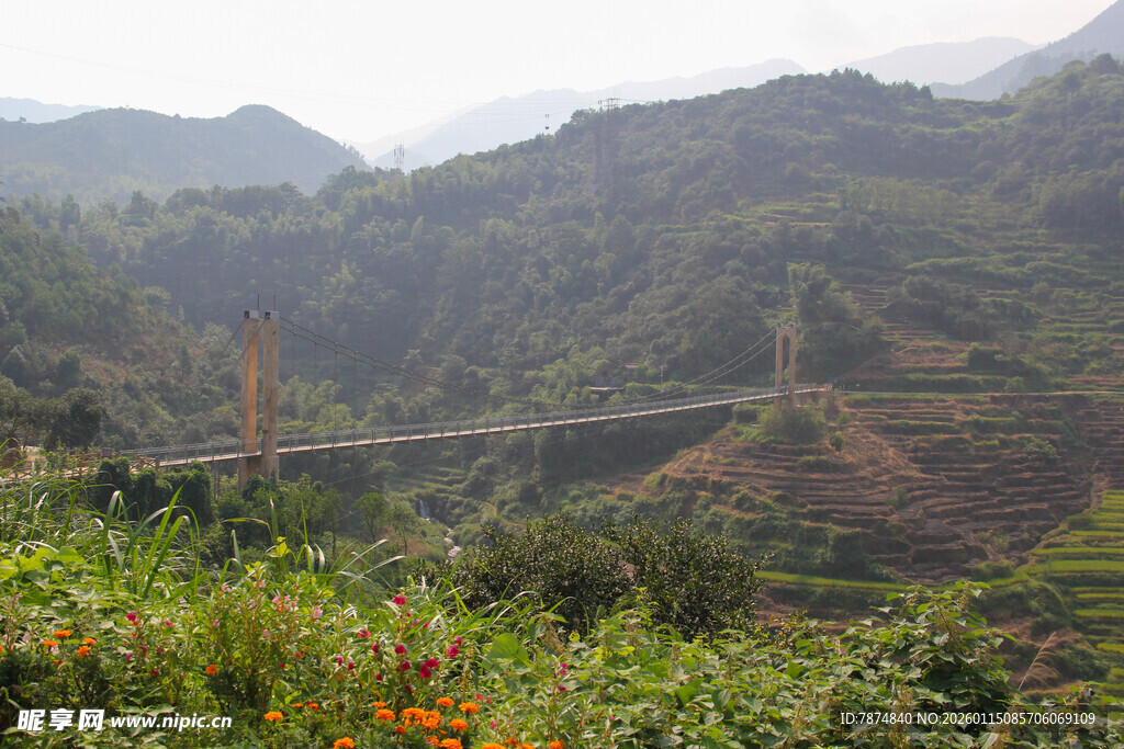 山间桥梁与多彩植被景观