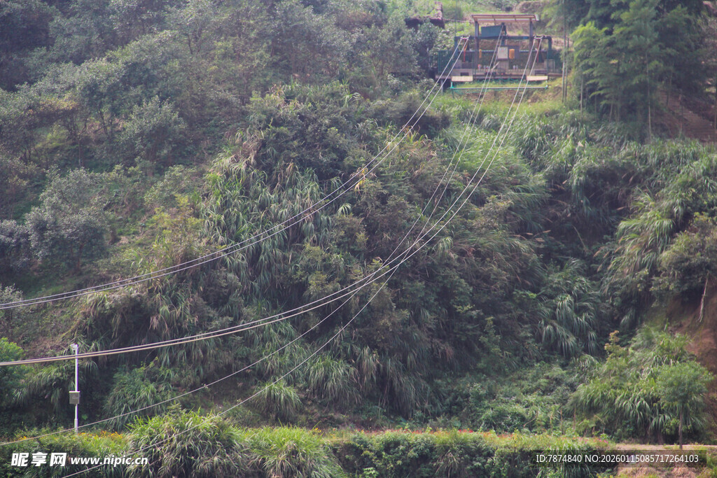 山间绿意盎然的植被景观