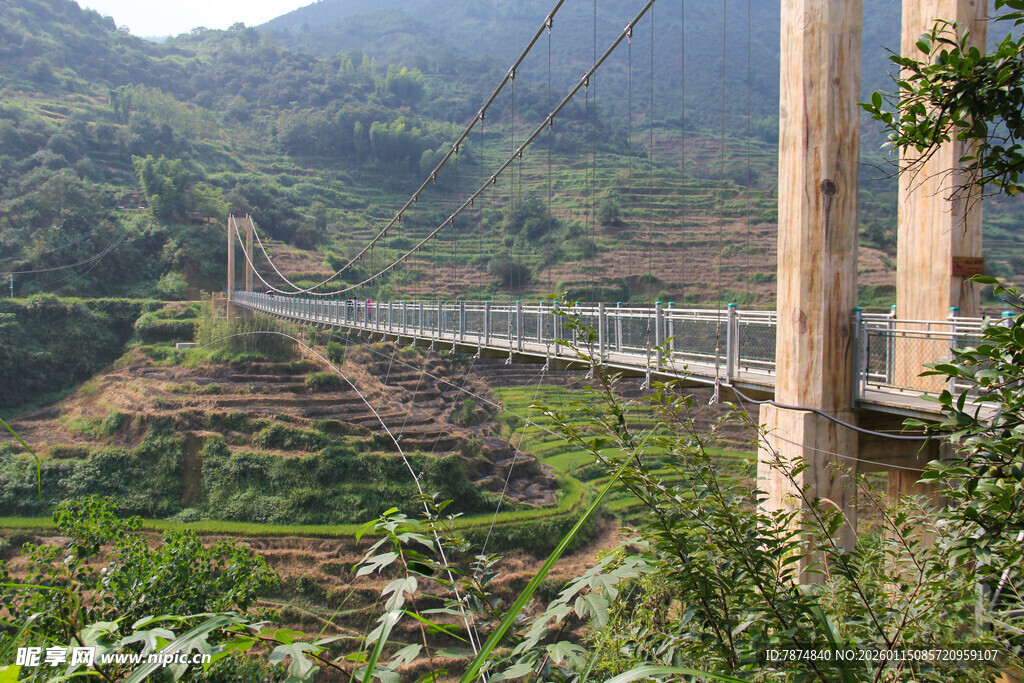 山间悬索桥 绿意环绕