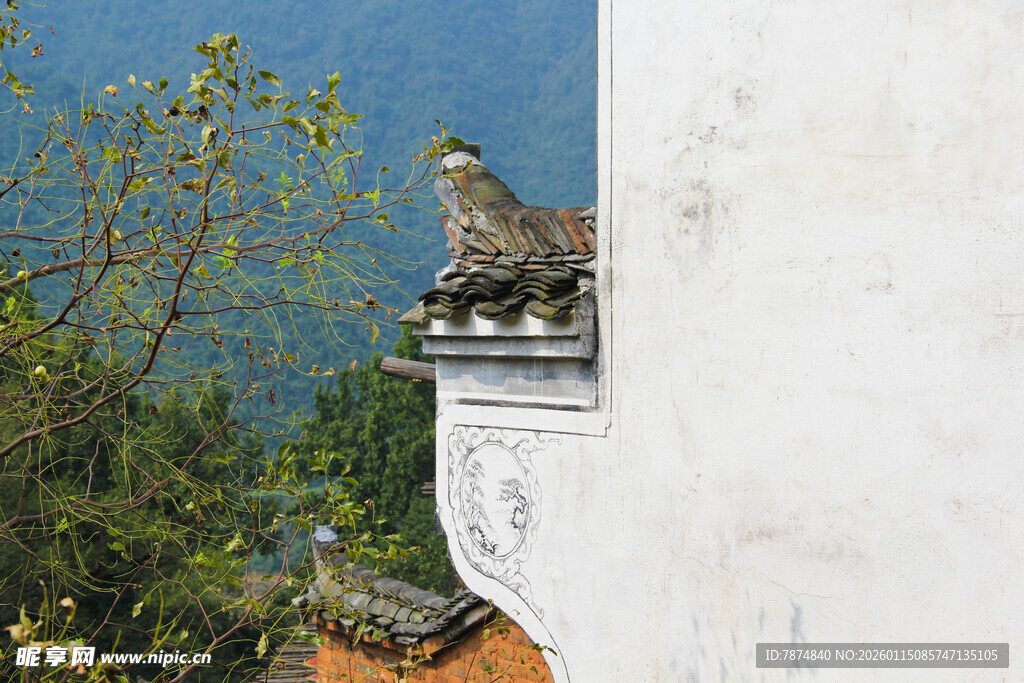 墙头小鸟 自然静谧之景