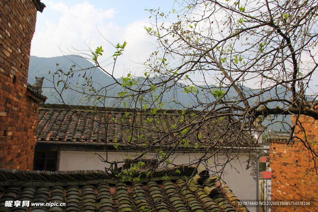 古宅屋顶绿意与远山景致