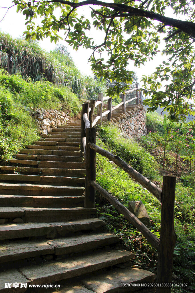 山间木梯 漫步自然之路