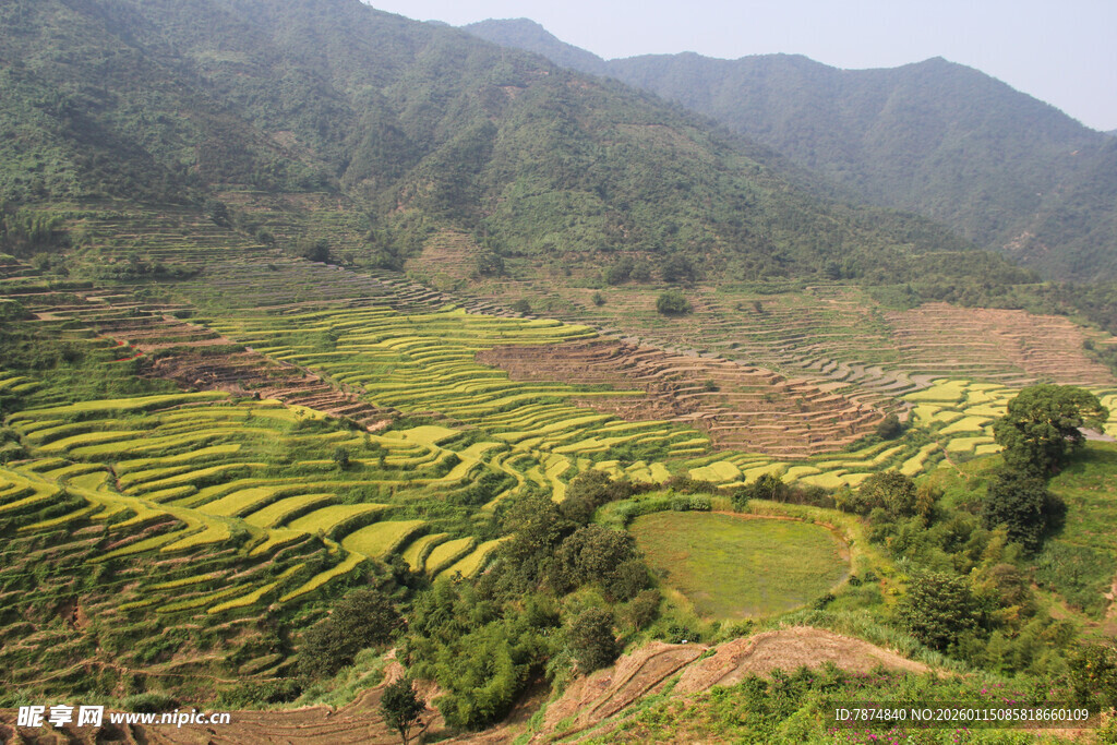 山间梯田美景