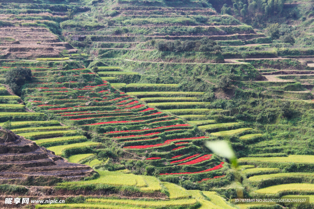 梯田美景 多彩田园风光