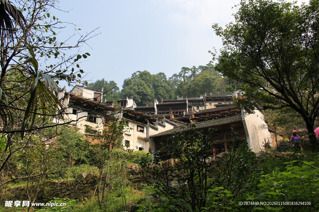 古村落隐于葱郁山林间