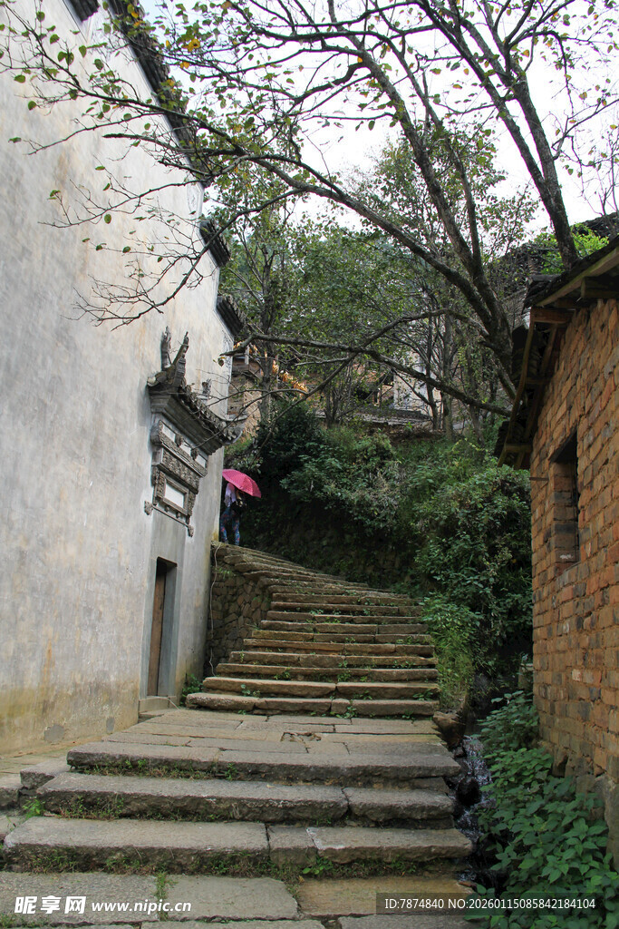 古巷石阶 静谧自然景致