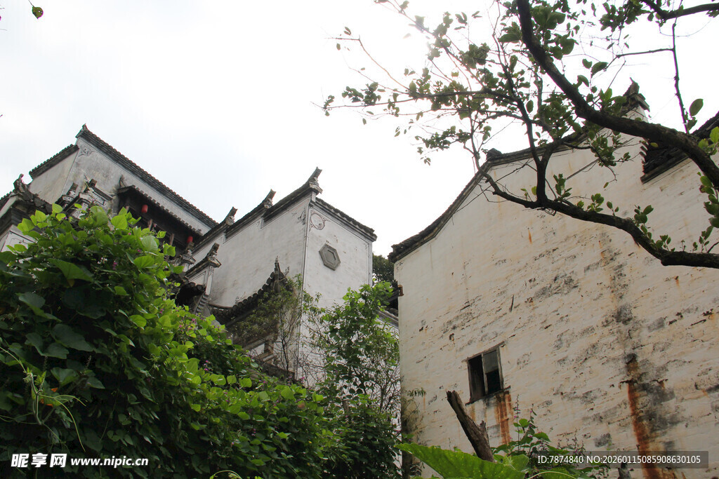 白墙黛瓦古民居