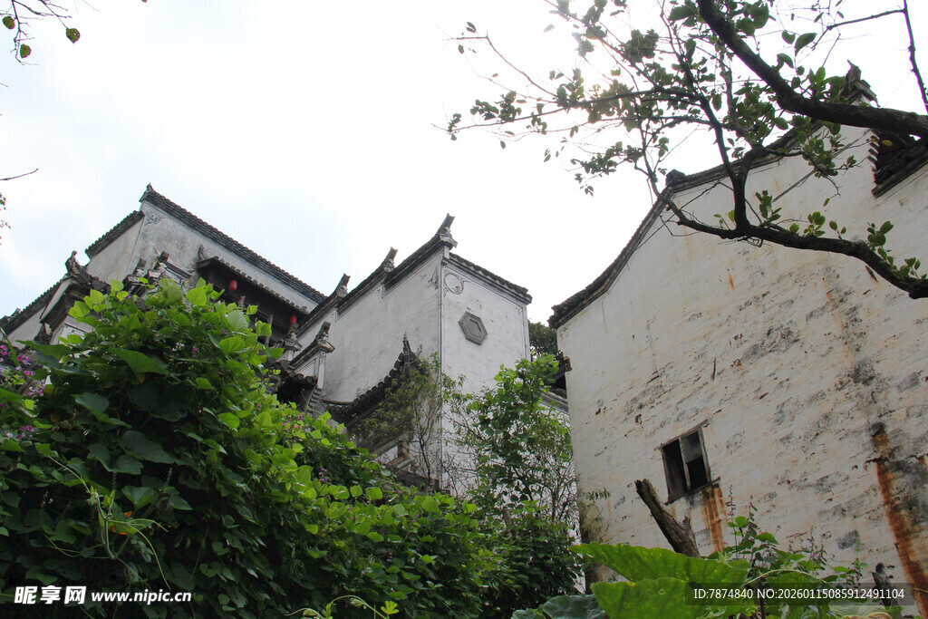 白墙黛瓦古民居隐于绿意