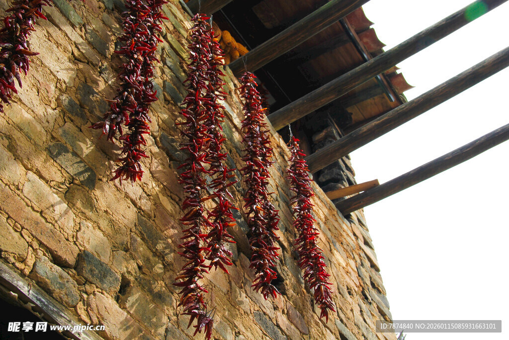 墙上悬挂的串串红辣椒