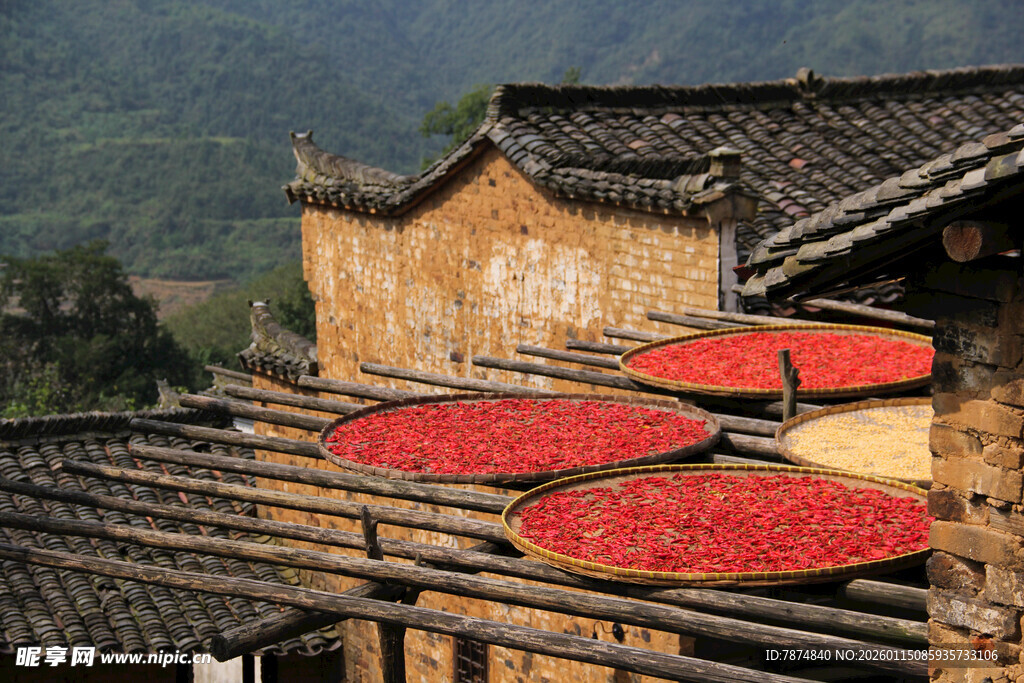 古村晒秋图