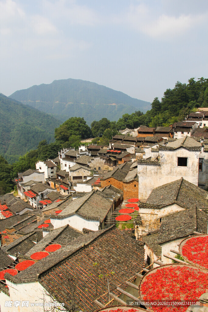 古村屋顶晾晒的秋日画卷