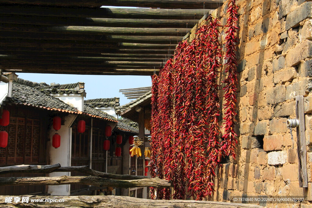 古村挂满红辣椒的质朴景象