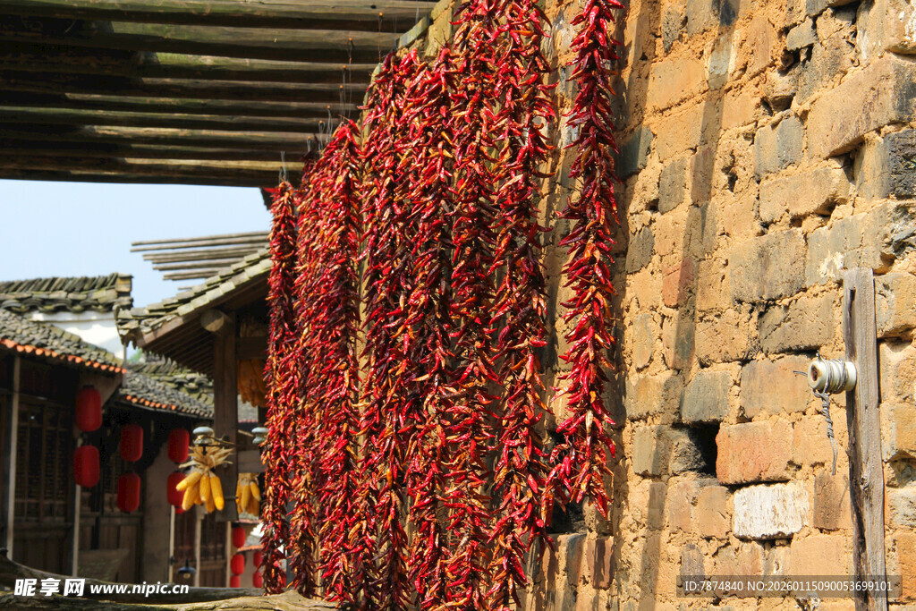 墙上晾晒的串串红辣椒
