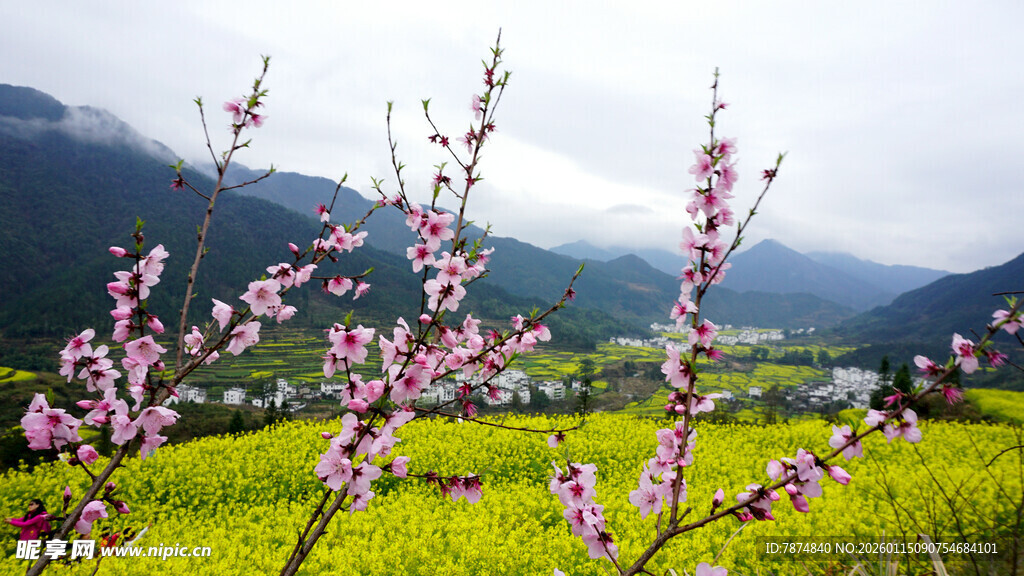春日山野烂漫田园风光