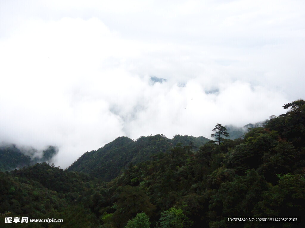 云雾缭绕的翠绿山峦