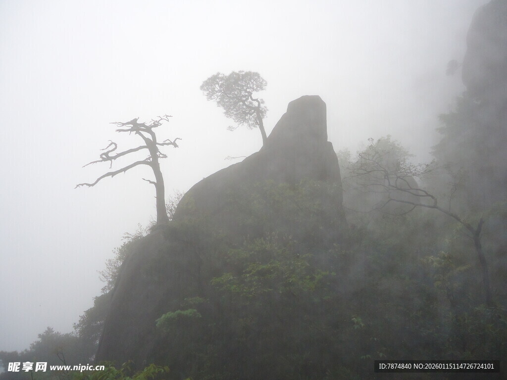 云雾中孤树屹立的山峰