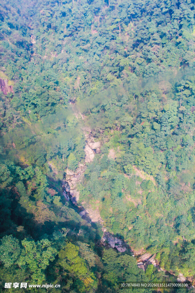 俯瞰葱郁山林中的蜿蜒河流