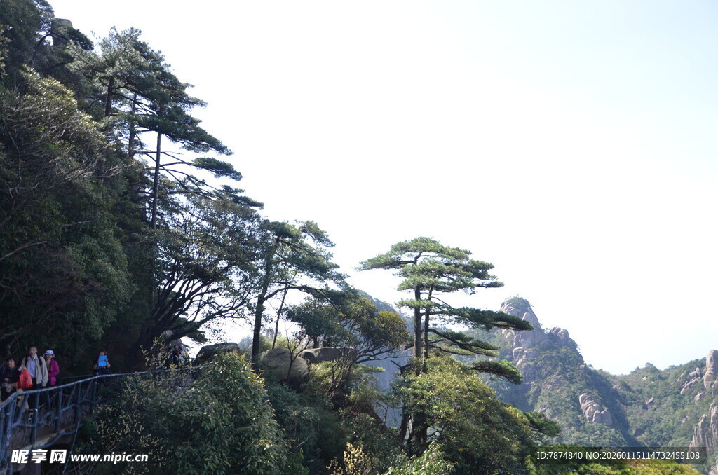 山间栈道 游人漫步赏景