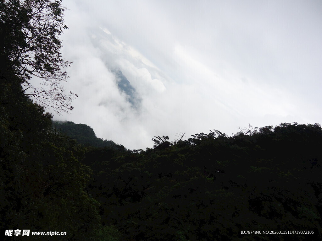 山间云雾缭绕的绿意景致