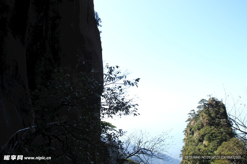 山间峭壁旁的葱郁树木
