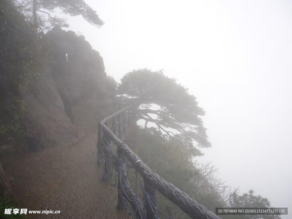 雾中蜿蜒山路与松树