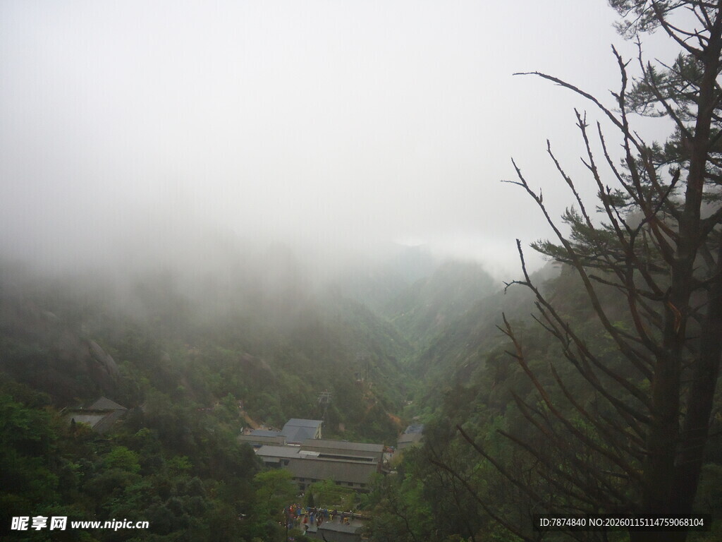 雾中朦胧山林景色