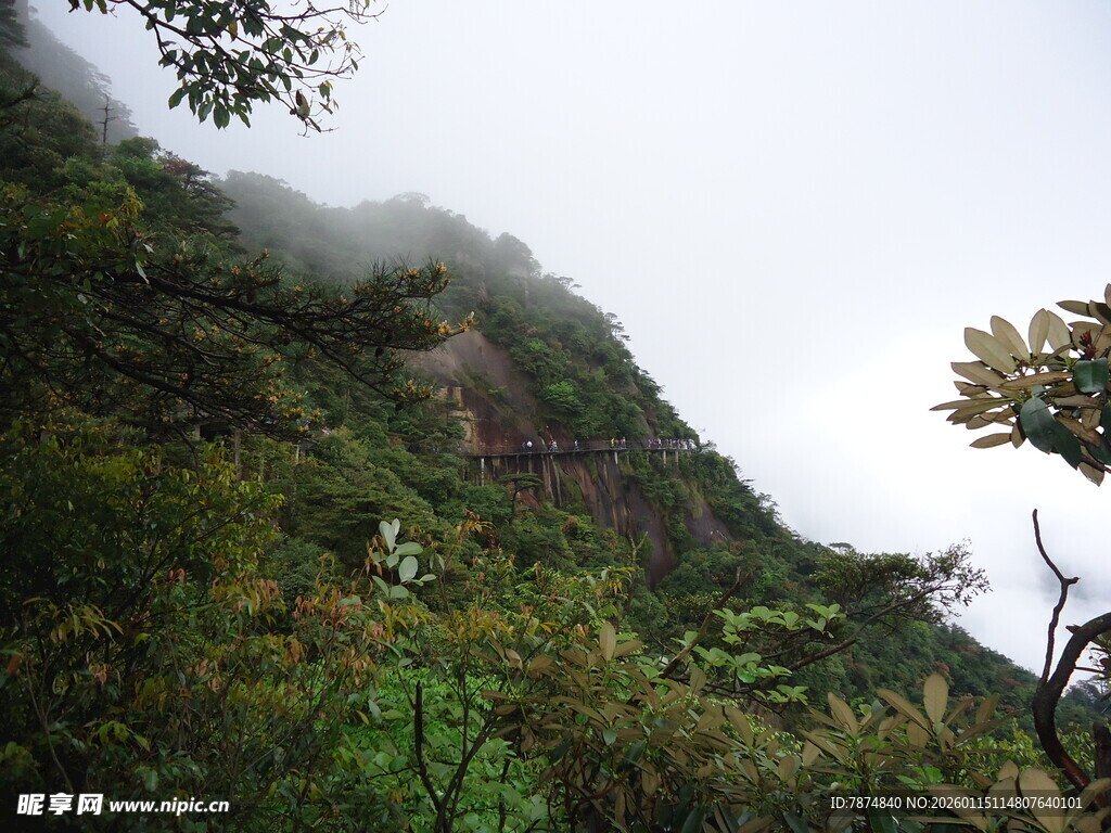 云雾缭绕的翠绿山峦