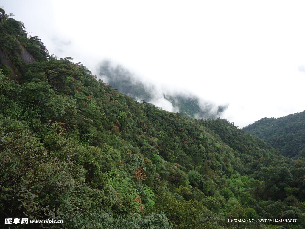云雾缭绕的翠绿山峦