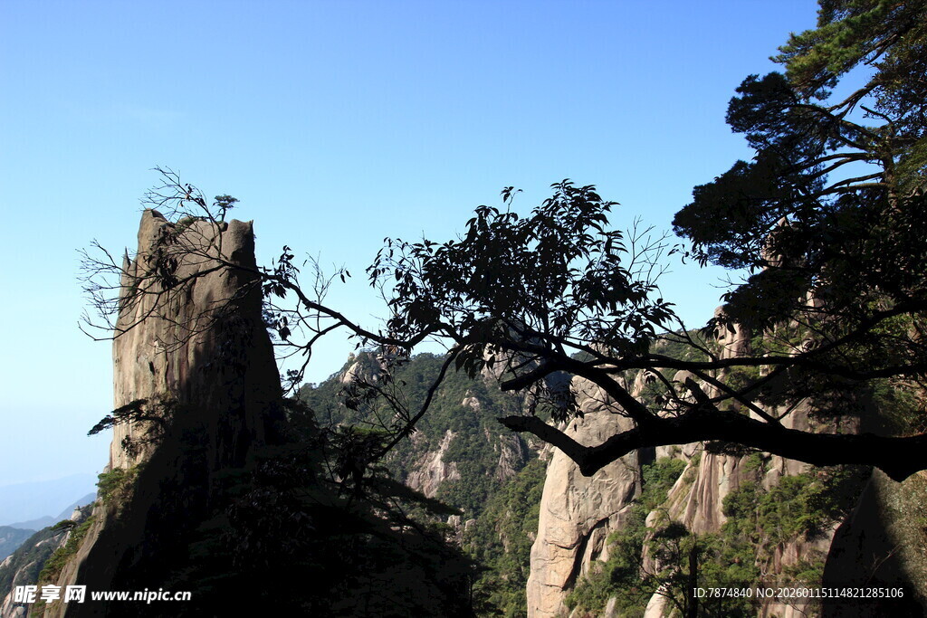 黄山奇峰与苍松景观
