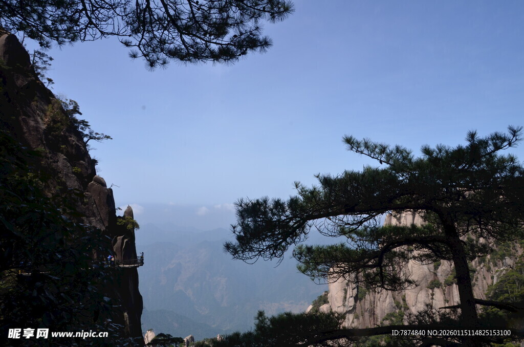 山间苍松映蓝天