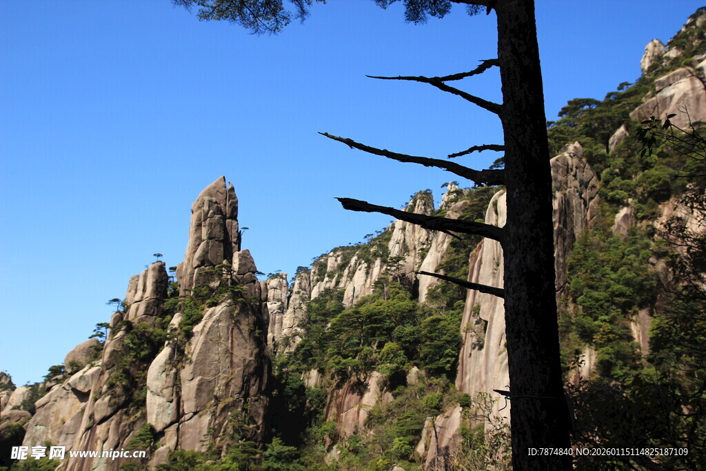 奇峰峻岭间的孤松景观