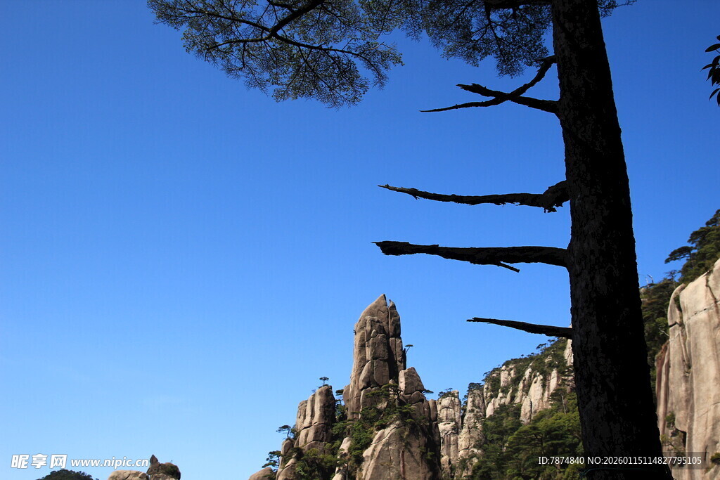 枯树旁的奇峻山石景观