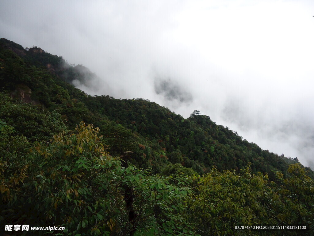 云雾缭绕的翠绿山峦