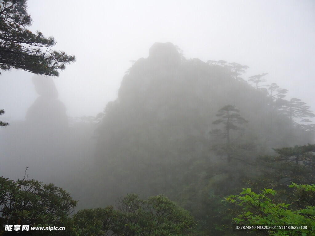 云雾缭绕的山林美景