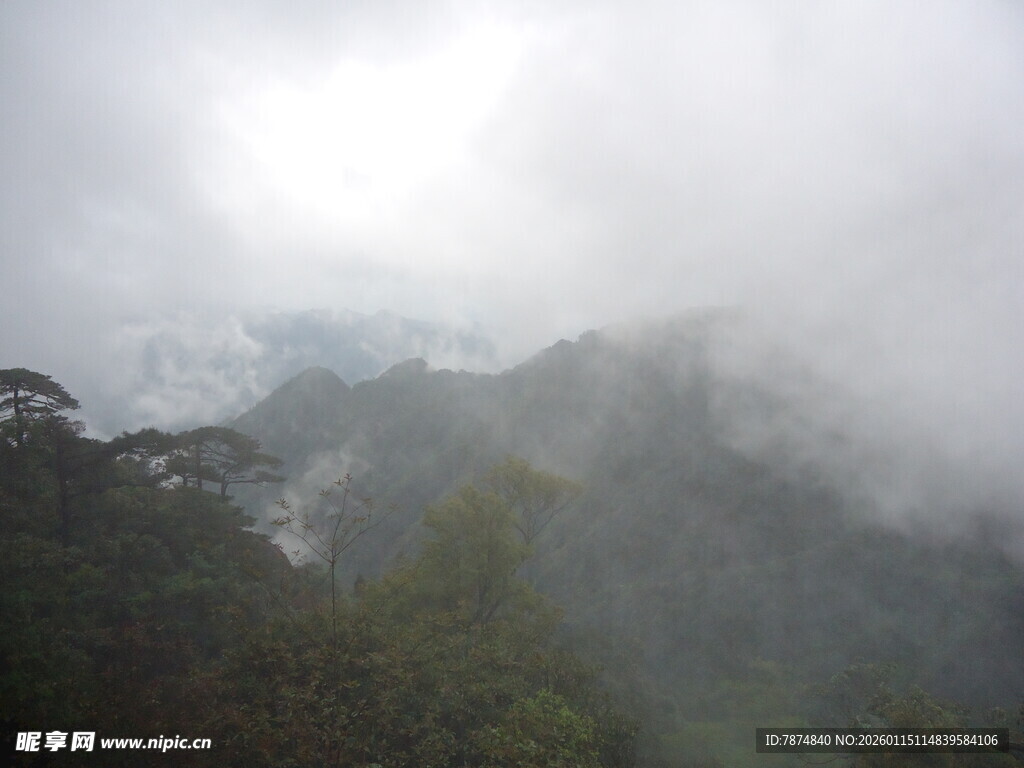 云雾缭绕的山林美景