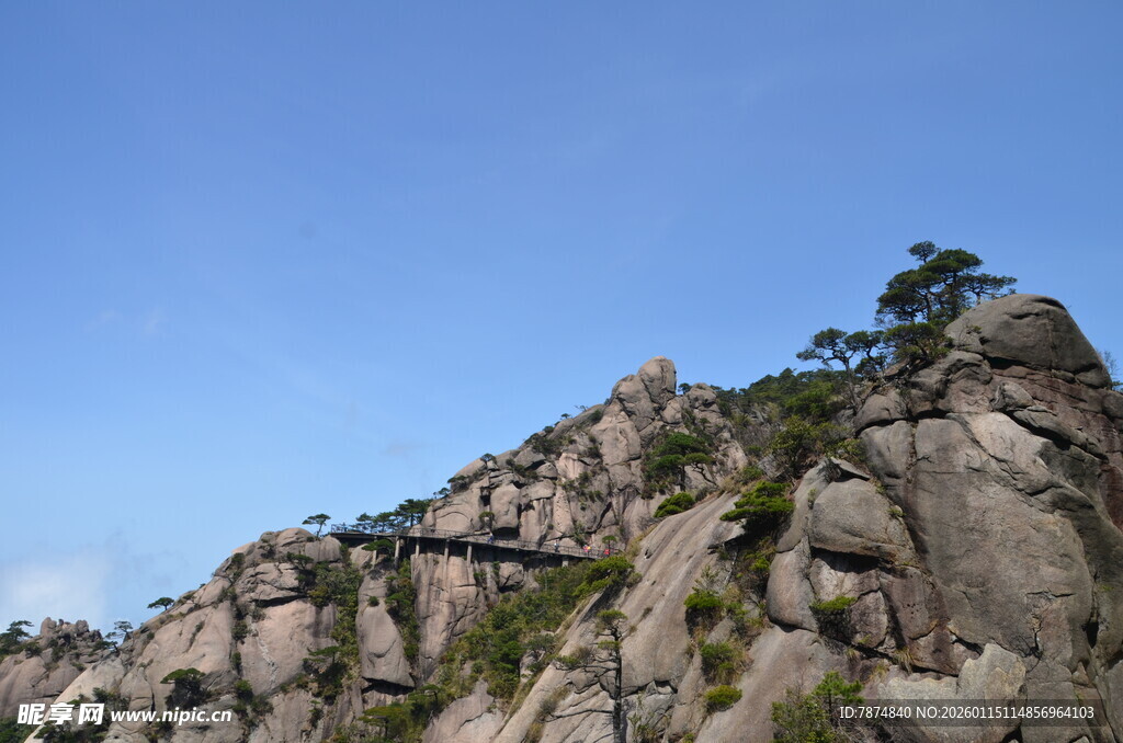峻峭山峰上的孤松