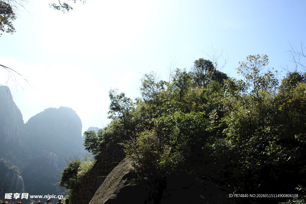 山间绿意盎然的自然景致
