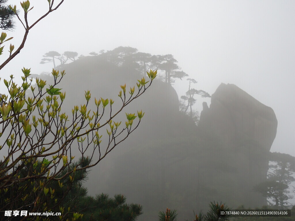 雾中奇景 山间朦胧景致