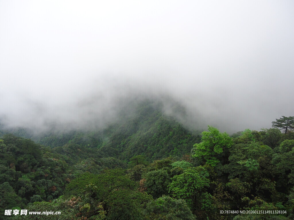 云雾缭绕的翠绿山峦