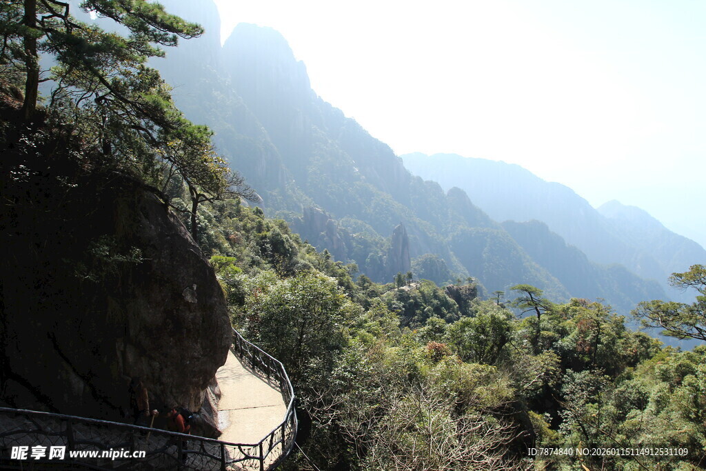 山间栈道旁的秀丽山林景色
