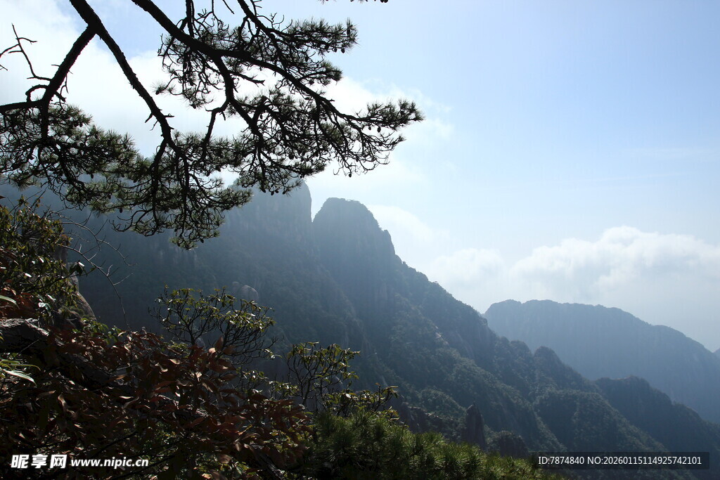 山间松影下的秀丽峰景