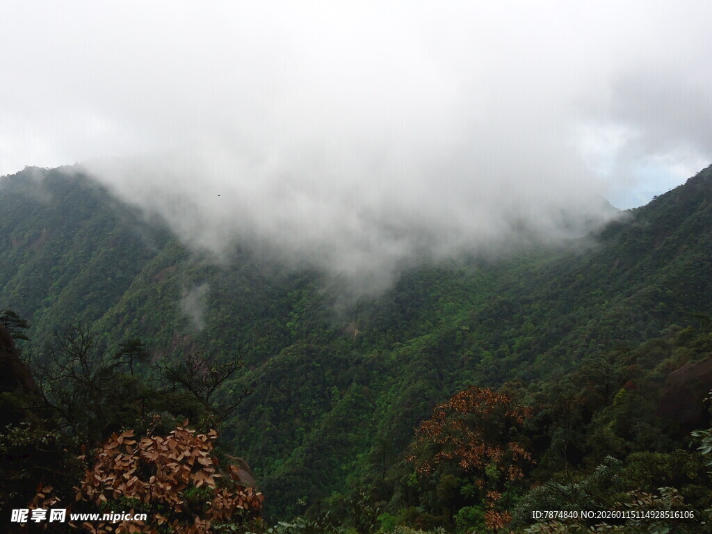 云雾缭绕的翠绿山峦