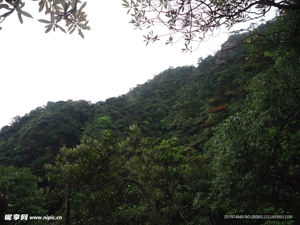 青山绿树间的自然景致