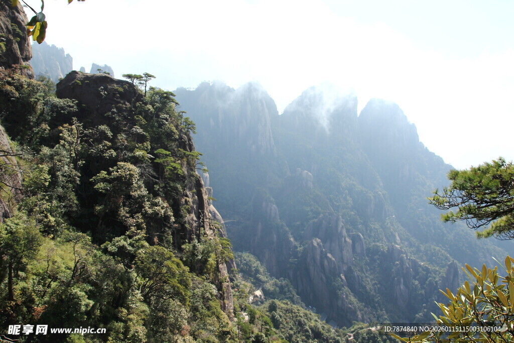 壮丽山景 植被覆盖的巍峨山峰