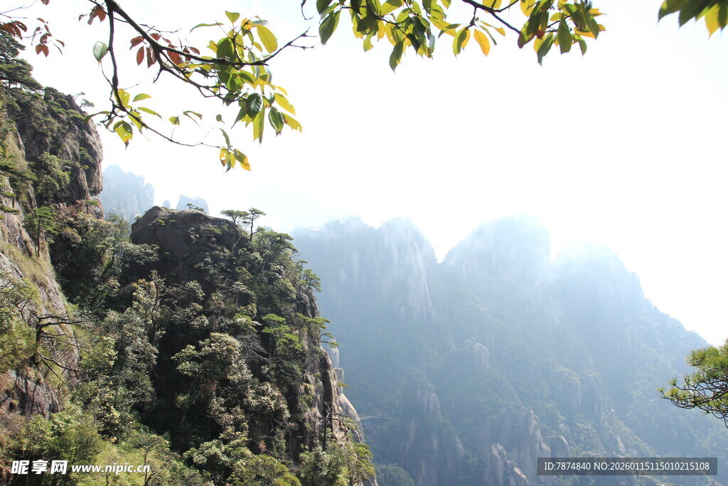 秀丽山峰与葱郁枝叶景观