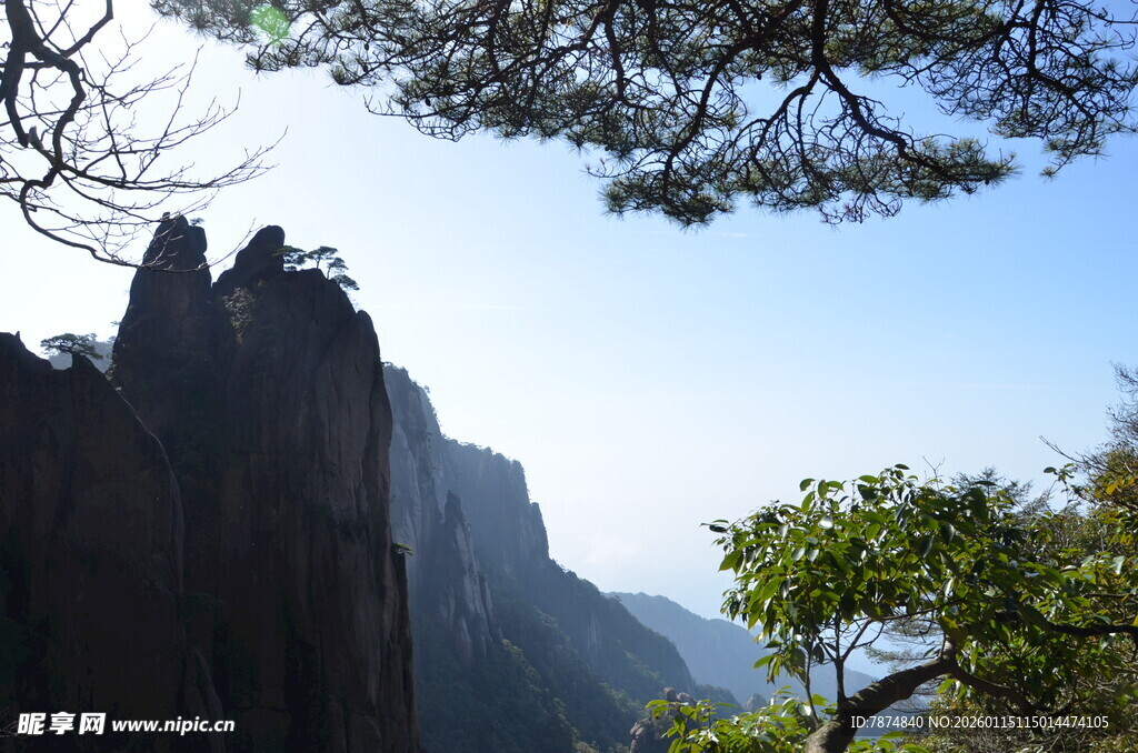 巍峨山峰与葱郁树木美景