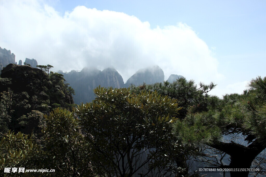 云雾缭绕的山林美景
