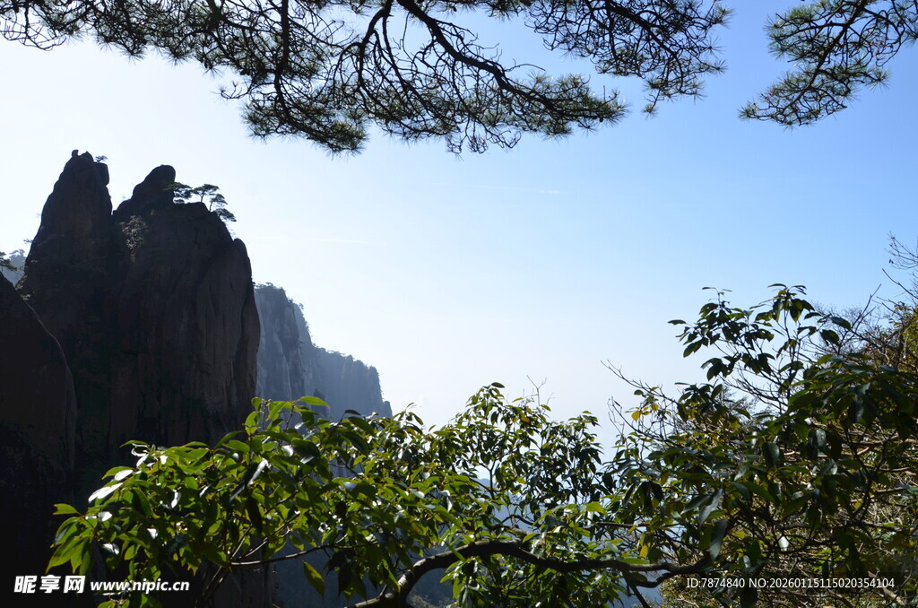 秀丽山峰与葱郁树木景观
